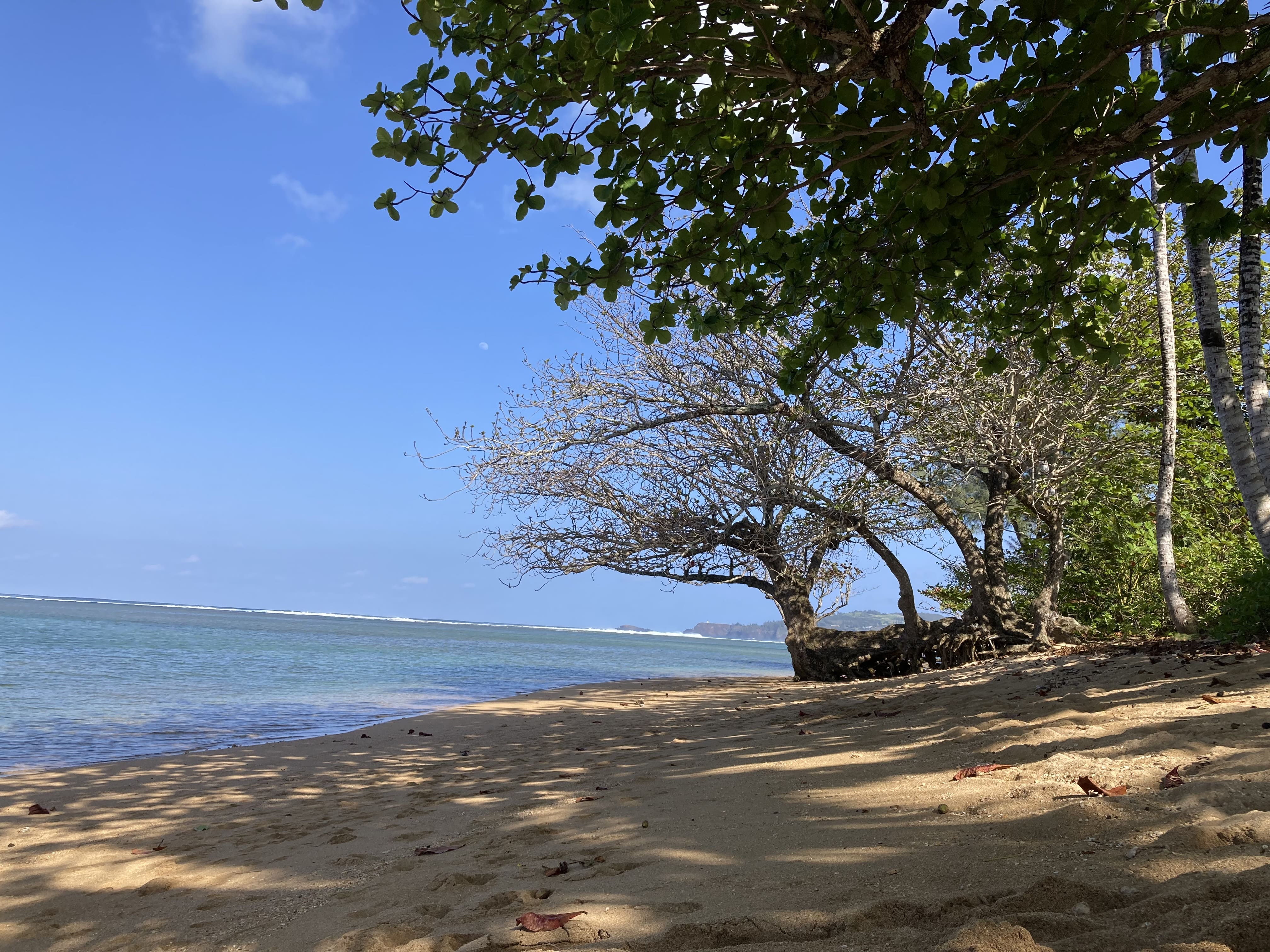 Anini beach