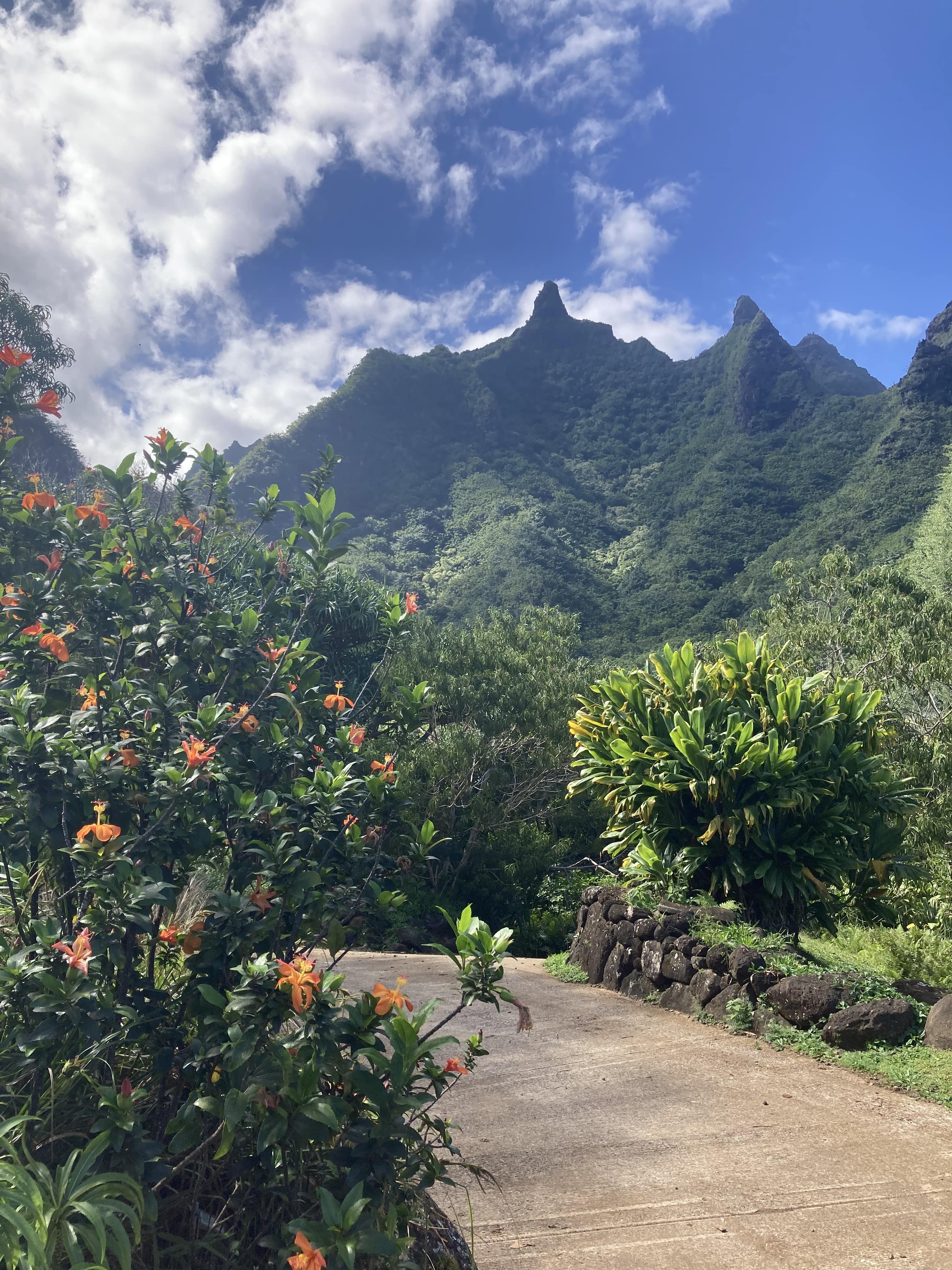 Limahuli Gardens